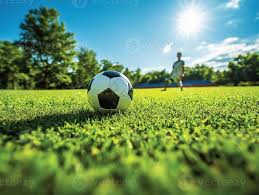 篮球比分59300多平台下载示意图